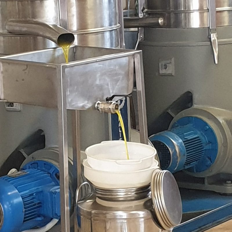 PHOTO-2020-10-12-19-47-54 2