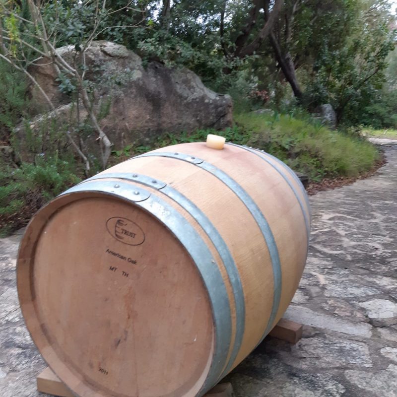 PHOTO-2021-03-02-20-14-52