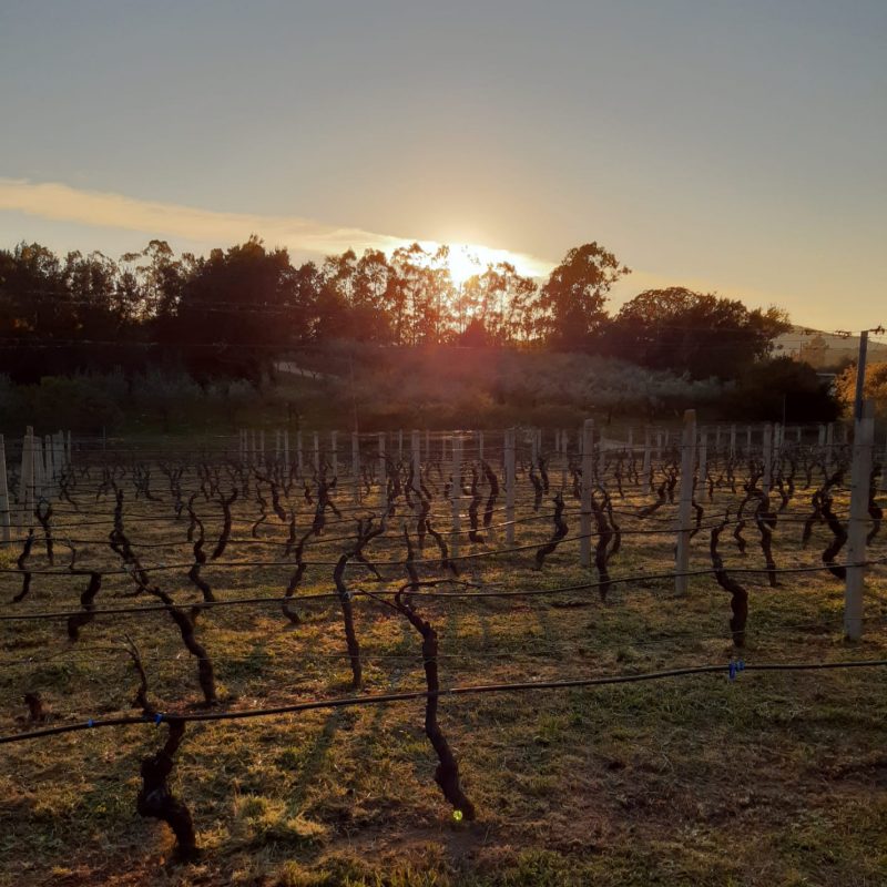 PHOTO-2021-03-03-18-07-22