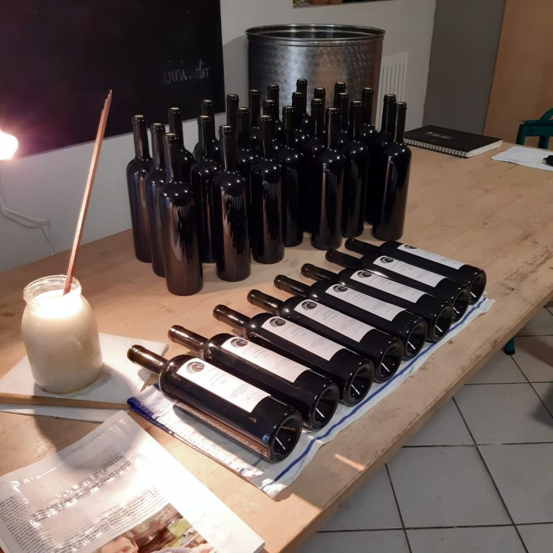 PHOTO-2021-05-14-17-23-44