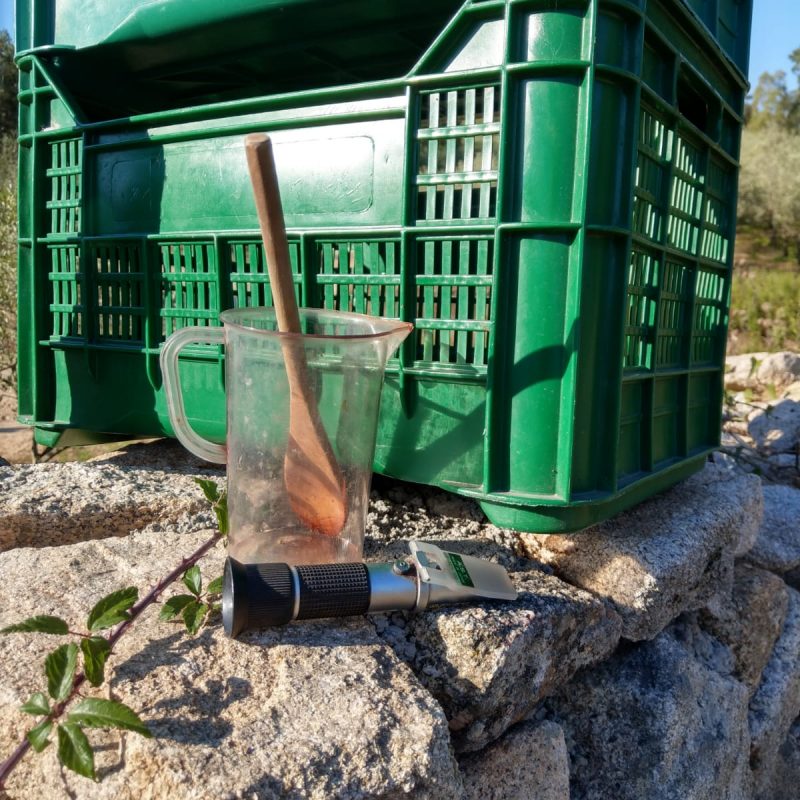 PHOTO-2021-08-31-09-22-47