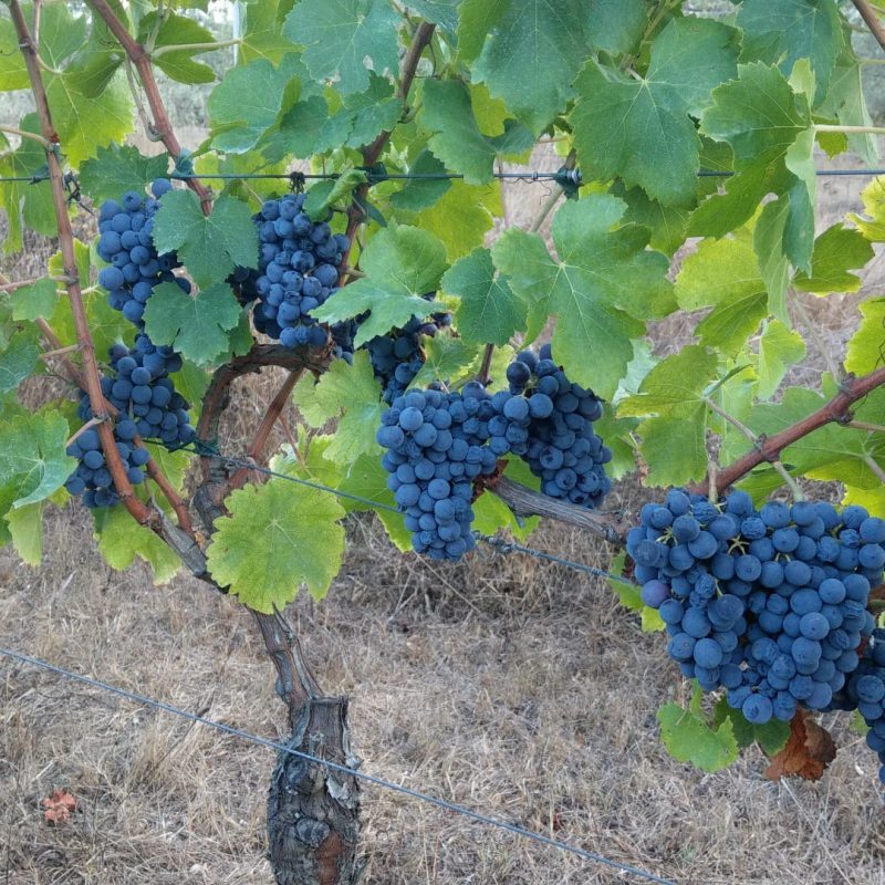 PHOTO-2021-08-31-09-30-24