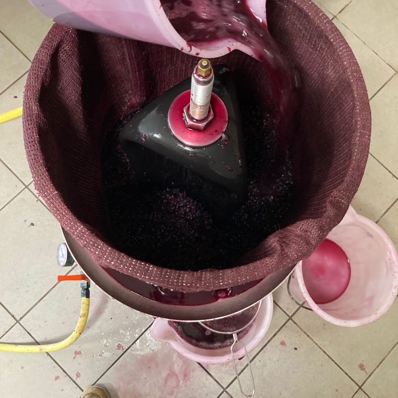 PHOTO-2021-09-13-21-38-15 4