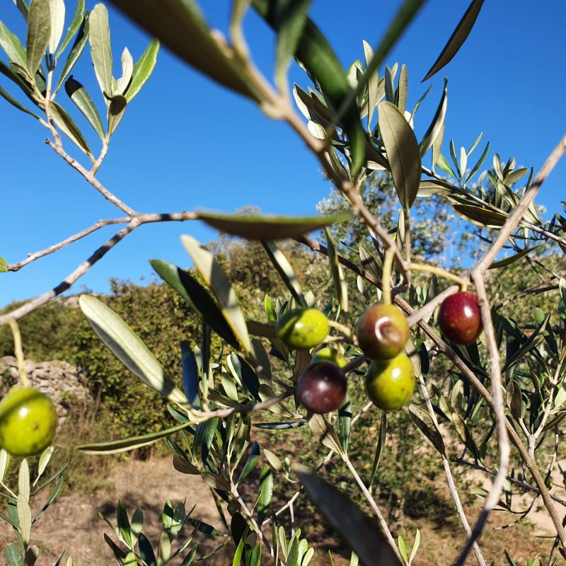 PHOTO-2021-10-15-21-44-49 3