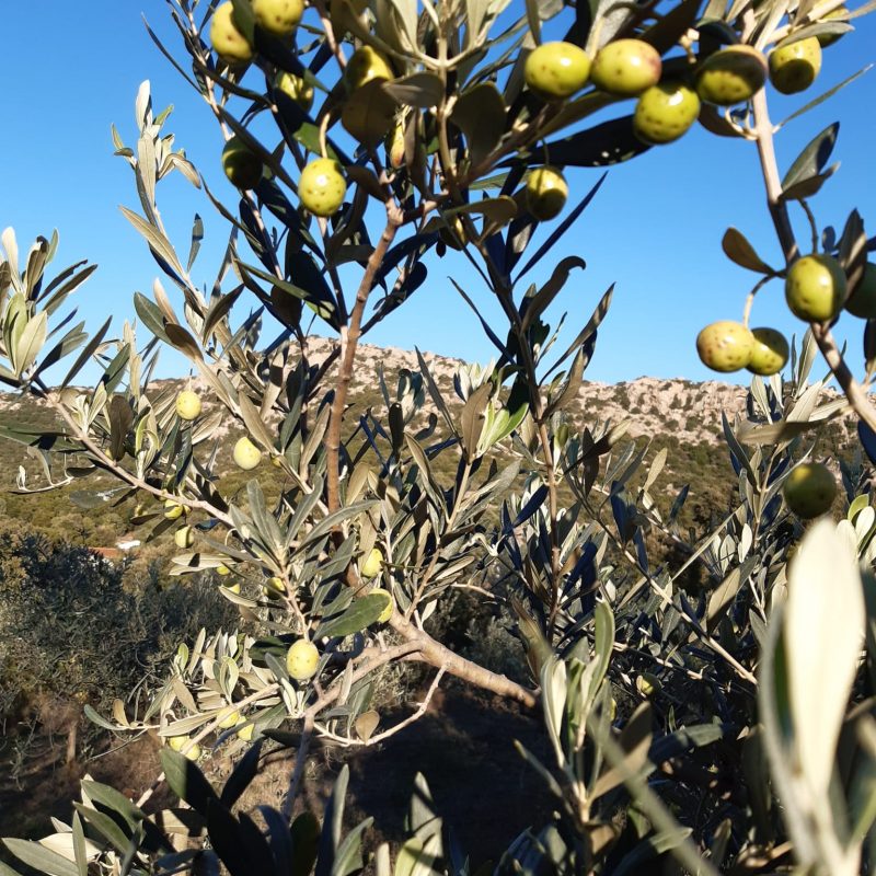 PHOTO-2021-10-19-10-11-14