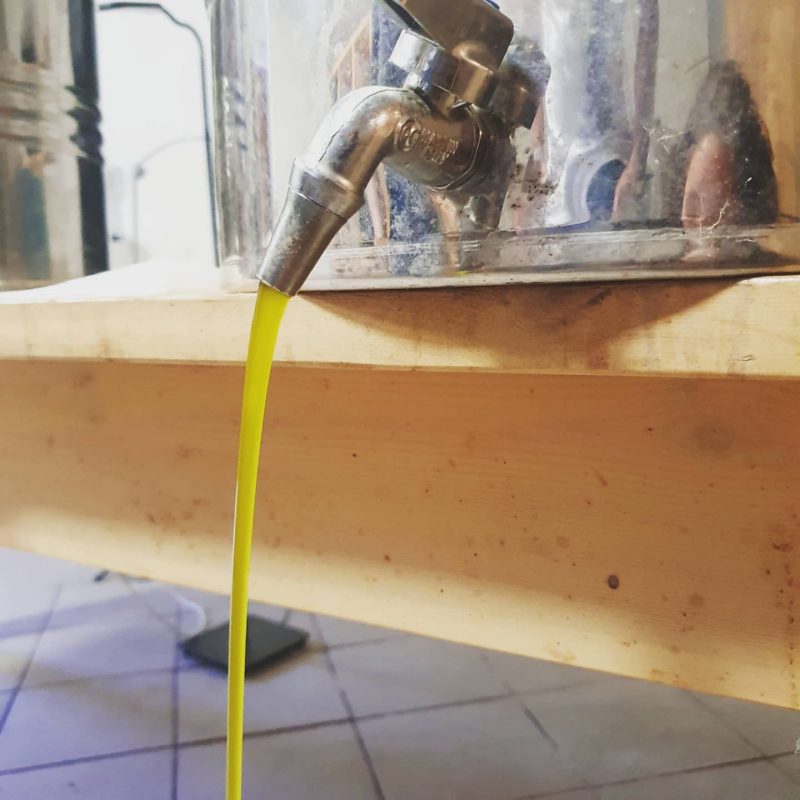 PHOTO-2021-10-20-21-12-22