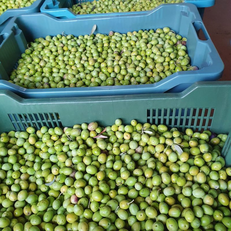 PHOTO-2021-10-20-21-12-52 2