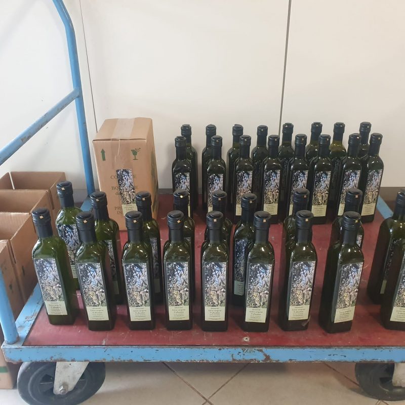 PHOTO-2021-10-22-12-39-52