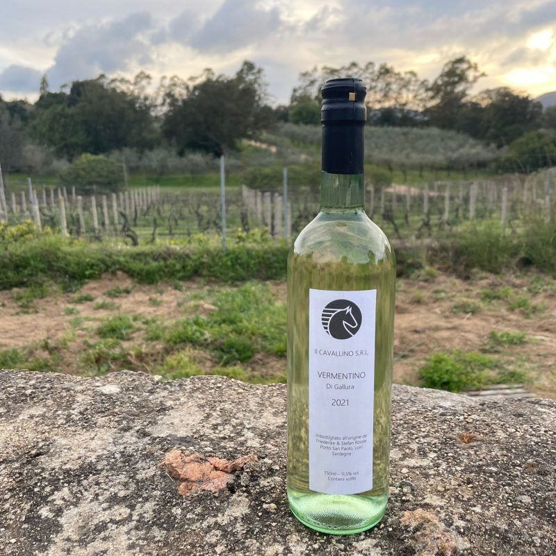 PHOTO-2022-04-13-22-05-21