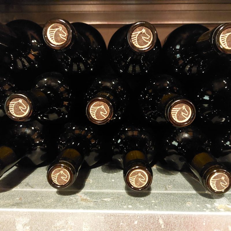 PHOTO-2022-09-12-14-28-26