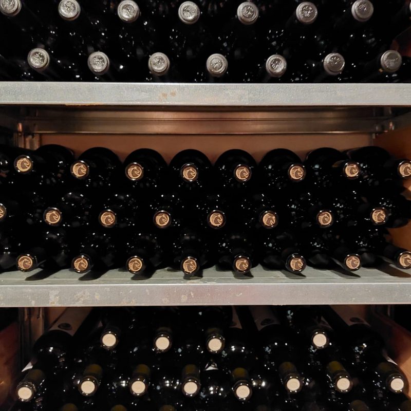 PHOTO-2022-09-12-14-28-49