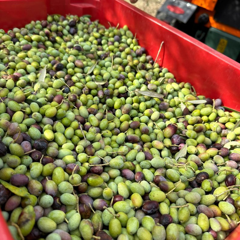 PHOTO-2023-10-17-21-49-46 2