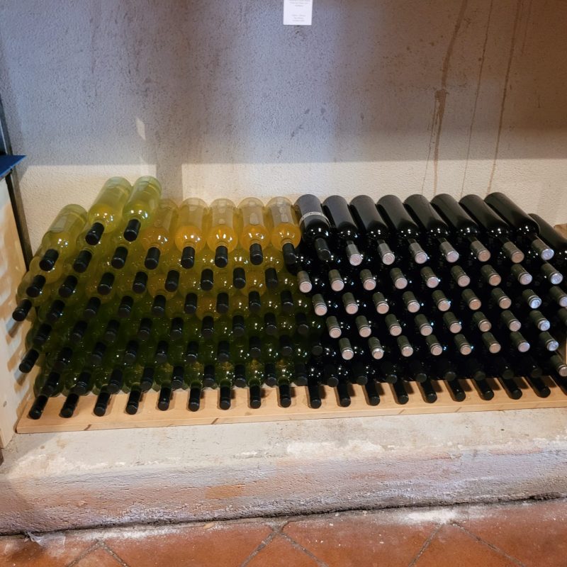 PHOTO-2024-07-10-17-00-07