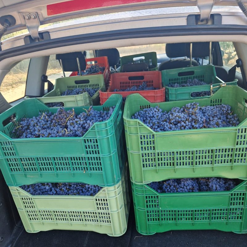 PHOTO-2024-08-24-08-32-20