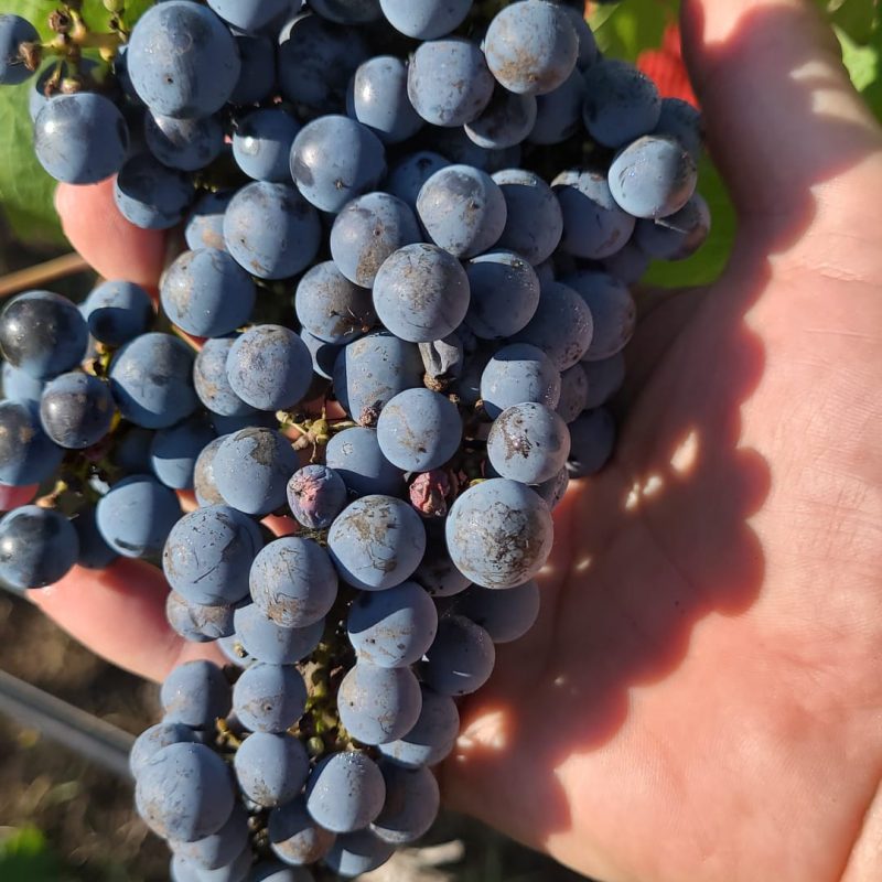 PHOTO-2024-08-24-08-40-08