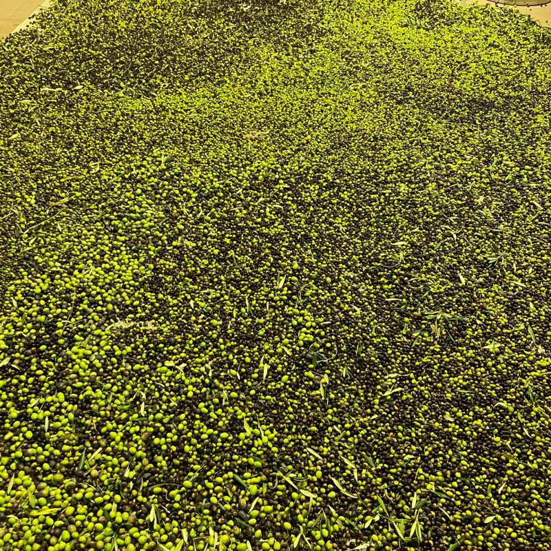 PHOTO-2024-10-19-21-44-48 4