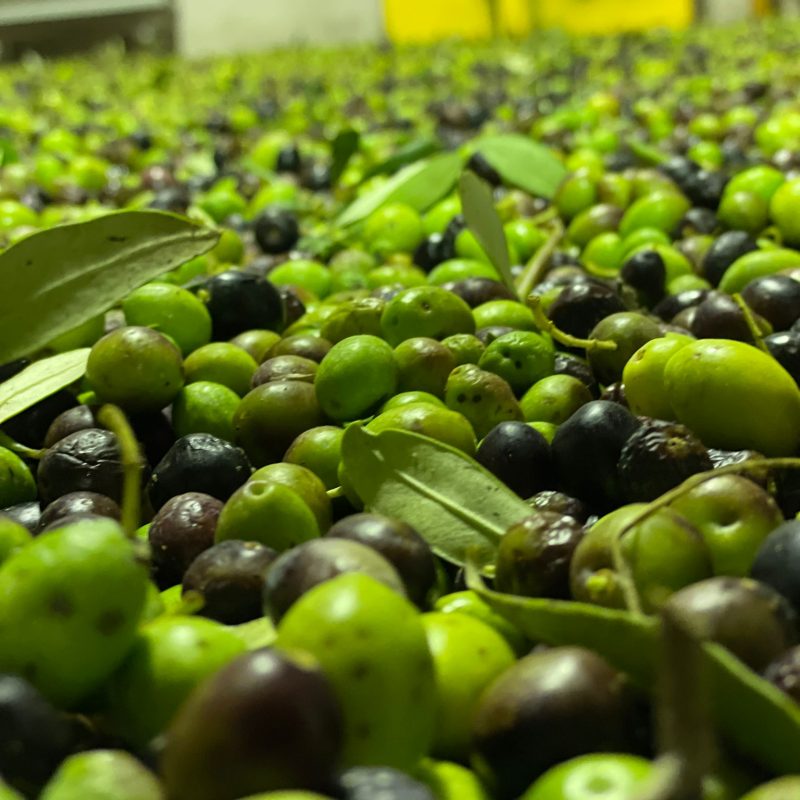 PHOTO-2024-10-19-21-44-48